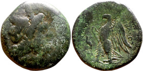 Ptolemaic Kings Of Egypt. (3-1 century BC. Bronze. Obverse: Head of Zeus. Reverse: Eagle on Thunderbolt