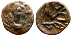 Hellenistic period coin (4-1 century BC) AE Bronze.  Obv: Bust of heracles. Rev: branch