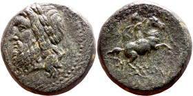 Philip V (Macedonian King: 221-179 BC) bronze. Obv: Head of zeus right, wearing lion-skin headdress. Rev: Nude youth on Horse trotting righ