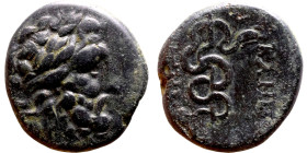 Pergamon (II – I century BC) bronze. Obv: Bust of Aeklepios  Rev: Snake coiled around upright staff.
