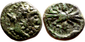 Hellenistic period coin (4-1 century BC) AE Bronze.  Obv: Bust of heracles. Rev: Winged Thunderbolt