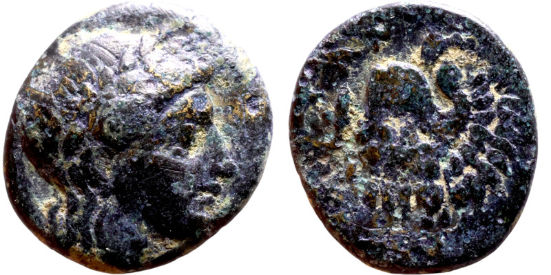 Antiochos III The Great (Seleukid King: 223-187 BC). AE bronze. Obv.: Laureate h...