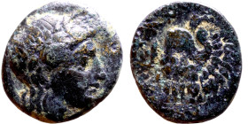 Antiochos III The Great (Seleukid King: 223-187 BC). AE bronze. Obv.: Laureate head of Apollo Rev.:  Head of Elephant