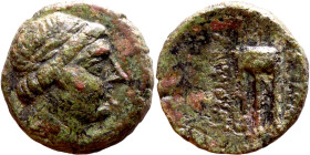 Antiochos I Soter (Seleukid King: 281-261 BC). AE bronze. Obv: Laureate head of Apollo right Rev: Tripod