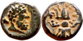 Hellenistic period coin (4-1 century BC) AE Bronze.  Obv: Bust of heracles. Rev: Winged Thunderbolt