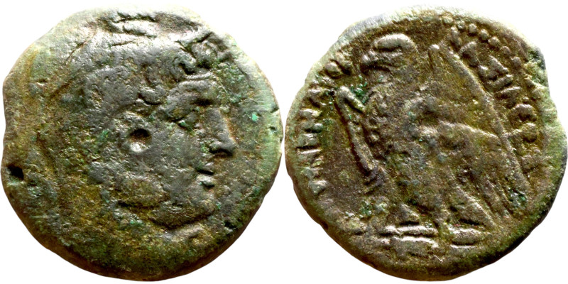 Ptolemaic Kings Of Egypt. Ptolemy I Soter 305-282 BC. Bronze Obol. Alexandria mi...