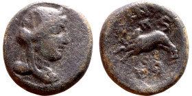 Hellenistic period coin (4-1 century BC) AE Bronze.  Obv: Bust of Apollo  Rev:  Jumping Bull