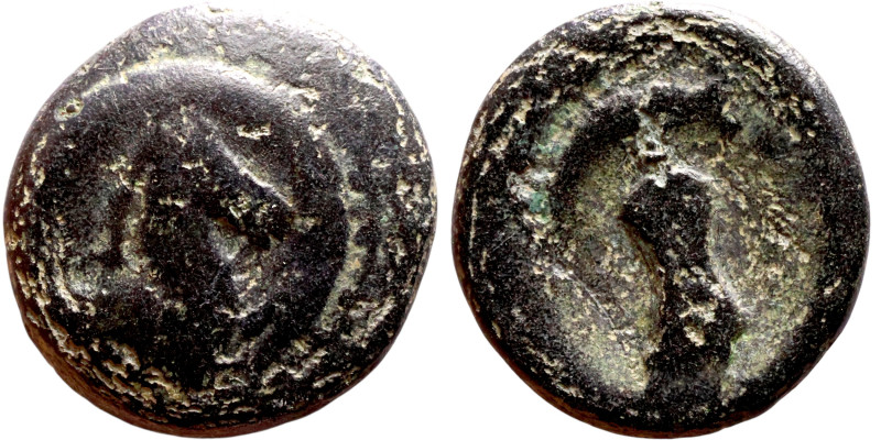 Hellenistic period coin (4-1 century BC) AE Bronze. Obv: Bust of Horse. Rev: Clu...