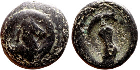 Hellenistic period coin (4-1 century BC) AE Bronze.  Obv: Bust of Horse. Rev: Club