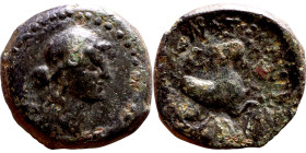 Aeolis, Kyme, (250-200 BC) Æ. Countermark Artemis  Obv: Bust of Artemis. Rev: Horse