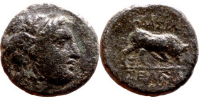 Seleukos I Nikator (Seleukid King: 312-260 BC). AE bronze. Obv.: Winged head of Medusa right, snakes flowing behind. Rev.: BAΣIΛEΩΣ ΣEΛEYKOY; Humped b...