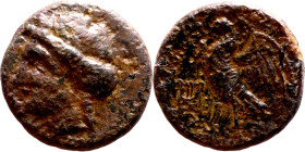 Halikarnassos (BC 300-200) bronze coin. Obv: Laureate head of Apollo left Rev: Eagle standing left with open wings