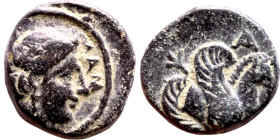 Mysia: Lampsakos (IV-III century BC) bronze coin. Obv: Laureate female head right. ΛAM to right Rev: The forepart of Pegasos, with curled wing. Uncert...