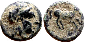 Alexander III the Great (Macedonian King 336-323 BC) bronze coin. Obv: Bust of Apollo. Rev: