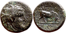 Seleukos I Nikator (Seleukid King: 312-260 BC). AE bronze. Obv.: Winged head of Medusa right, snakes flowing behind. Rev.: BAΣIΛEΩΣ ΣEΛEYKOY; Humped b...