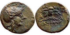 Phrygia: Apameia (148 BC-133 BC) bronze coin. Obv: Bust of Athena with Corinthian helmet and aegis to the right. Rev: ΑΠΑΜΕΩΝ, eagle landing on a mean...