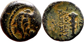 Antiochos VII Sidetes (Seleukid King: 138-129 BC ) bronze coins. Obv.: Head of Lion. Rev.: BAΣIΛEΩΣ ANTIOXOY EYEPΓETOY Club