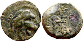 Antiochos VII Sidetes (Seleukid King: 138-129 BC ) bronze coins. Obv.: Head of Lion. Rev.: BAΣIΛEΩΣ ANTIOXOY EYEPΓETOY Club