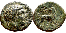 Miletos (BC 294-281) bronze coin. Obv:  Laureate head of Apollo right Rev: Lion advancing right, head reverted; star above