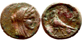 Hellenistic period coin (4-1 century BC) AE Bronze.  Obv: