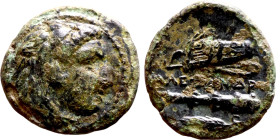 Alexander III the Great (Macedonian King 336-323 BC) bronze coin. Obv: Head of Herakles right, wearing lion's skin headdress Rev: ΑΛΕΞΑΝΔΡΟΥ, Club, qu...