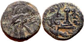 al-Malik ibn Marwan (687-705) Follis. Obverse: Imperial figure. Reverse: Modified cross potent set on steps