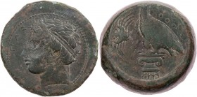 SIZILIEN AKRAGAS
 AE-Hemilitron 339-317 v. Chr. Vs.: Kopf des jugendlichen Flussgottes Akragas mit Diadem n. l., Rs.: Adler steht auf ionischem Kapit...
