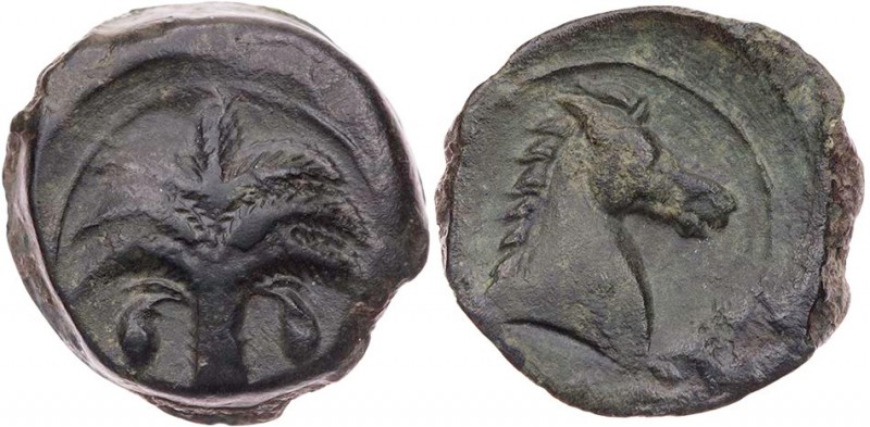SIZILIEN SIKELOPUNIER
 AEs um 340-320 v. Chr. Vs.: Dattelpalme mit sieben Wedel...