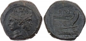 IMPERATORISCHE PRÄGUNGEN
Sextus Pompeius Magnus Pius, gest. 35 v. Chr. AE-As 45/44 v. Chr. Heeresmzst. in Spanien Vs.: MAGN (MA ligiert), Doppelkopf ...