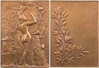 GÖTTINNEN, MYTHISCHE GESTALTEN, ALLEGORIEN KLIO (Muse der Geschichtsschreibung)
 Bronzeplakette o. J. (1899, v. Alphonse Lechevrel, 1848-1924), Paris...