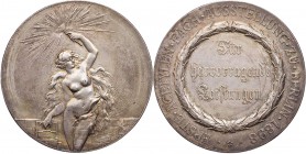 GÖTTINNEN, MYTHISCHE GESTALTEN, ALLEGORIEN PHOIBE (Titanin des Lichts)
 Bronzemedaille, versilbert 1898 (bei Lauer), Nürnberg Prämie der Ersten Acety...