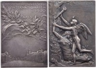 GEWERBE, HANDEL, INDUSTRIE WELTAUSSTELLUNGEN
Frankreich, Paris Versilberte Bronzeplakette 1900 (v. O. Roty) Auf die Weltausstellung und das neue Jahr...