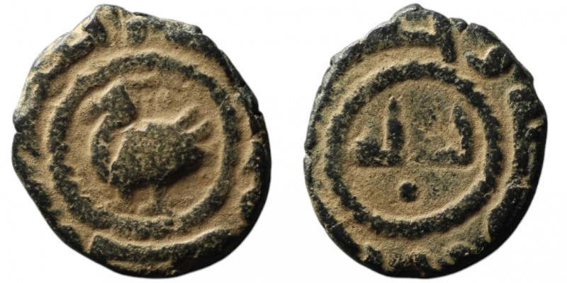 Islamic coin
AE Bronze (17mm, 2,59g)
Obv: Bird standing left, legend around
Rev:...