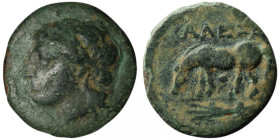 TROAS. Alexandria (Circa 3rd-2nd century BC).
AE Bronze (17mm, 2,23g)