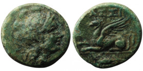 TROAS. Assos. (Circa 400-241 BC)
AE Bronze (17mm, 3,75g)