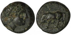 MYSIA. Gambrion. (4th century BC).
AE Bronze (11mm, 1,41g)