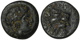 TROAS. Antandros. (4th-3rd centuries BC)
AE Bronze (15mm, 3,63g)
