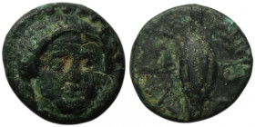 THRACE. Chersonesos. (Circa 386-309 BC).
AE Bronze (11mm, 1,19g)