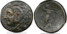 SICILY. Syracuse. Pyrrhus (278-276 BC). AE (23mm, 10.03 gm, 10h). NGC XF 5/5 - 4/5. Head of young Heracles left, wearing lion skin headdress, paws tie...