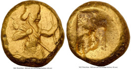 ACHAEMENID PERSIA. Darius I-Xerxes II (ca. 5th century BC). AV daric (14mm, 8.37 gm). NGC Choice VF 3/5 - 3/5. Lydo-Milesian standard. Sardes, ca. 485...