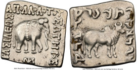 INDO-GREEK KINGDOMS. Bactria. Apollodotus I Soter (ca. 180-160 BC). AR Indic square drachm (14mm, 2.40 gm, 12h). NGC Choice VF 4/5 - 3/5, brushed, mar...
