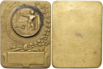 ITALIA. Medaglia-Placchetta art-dec√≤ senza data PRO SALUS - Opus: A. Avelli - AE dorato (g 56 - √ò 51x68 mm)

SPL