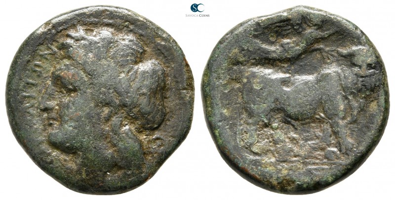Campania. Neapolis circa 275-250 BC. 
Bronze Æ

19mm., 4,78g.



nearly v...