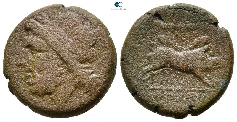 Apulia. Arpi circa 300-200 BC. 
Bronze Æ

21mm., 8,81g.



very fine