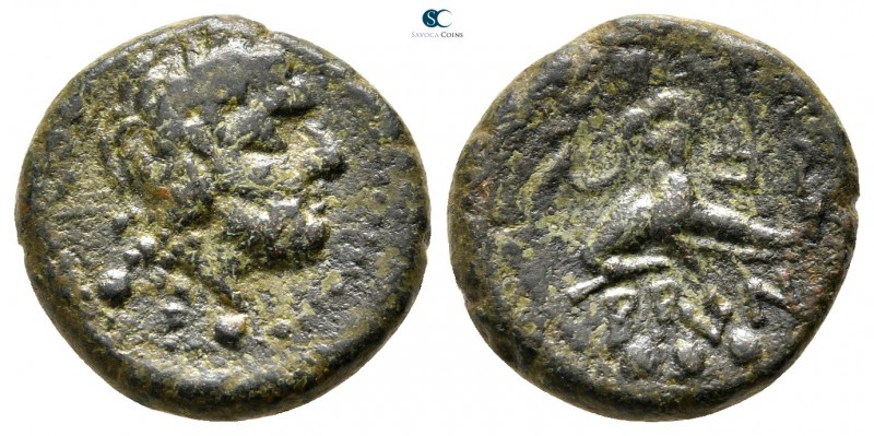 Calabria. Brundisium circa 215 BC. 
Bronze Æ

17mm., 5,02g.



very fine