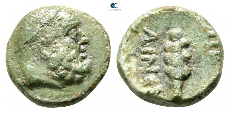 Bruttium. Petelia circa 275 BC. 
Bronze Æ

9mm., 1,07g.



very fine