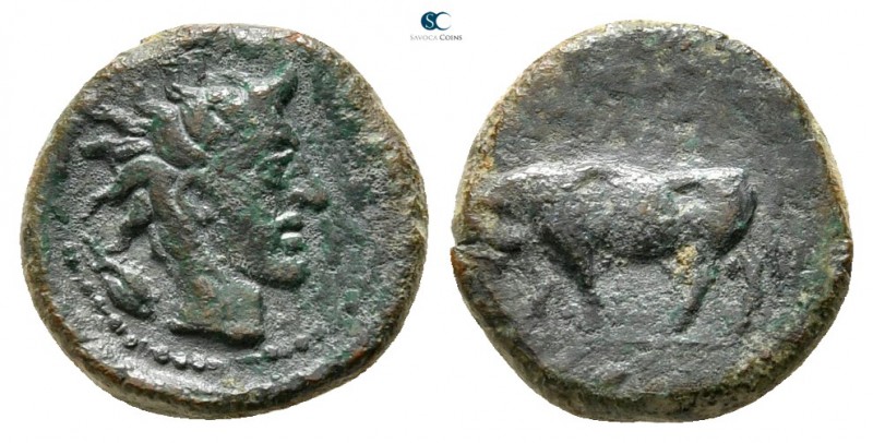 Sicily. Gela circa 420-405 BC. 
Onkia Æ

10mm., 1,08g.



very fine