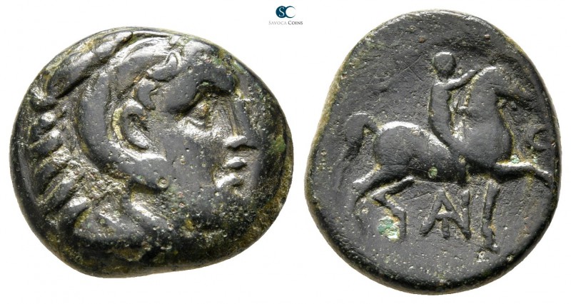 Kings of Macedon. Amphipolis or Pella. Antigonos II Gonatas 277-239 BC. 
Bronze...