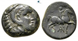 Kings of Macedon. Amphipolis or Pella. Antigonos II Gonatas 277-239 BC. Bronze Æ