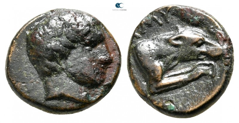 Kings of Macedon. Aigai or Pella mint. Amyntas II 395-393 BC. 
Bronze Æ

12mm...